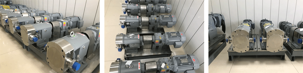 ROTARY LOBE PUMPS