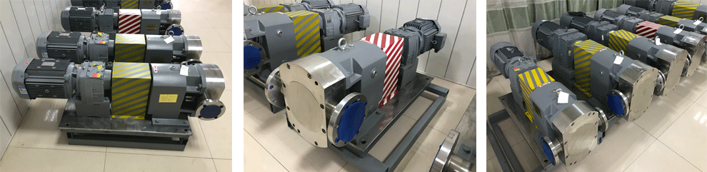 ROTARY LOBE PUMPS