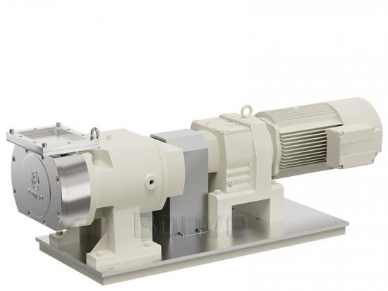 Rotary lobe pump manufacturer